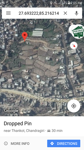 Real Estate Company